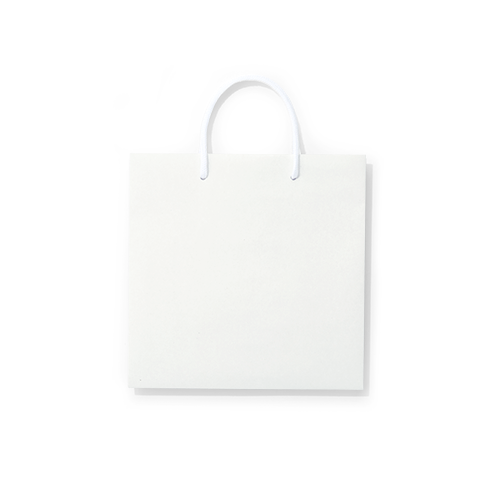 PAPER BAG PRODUCTS